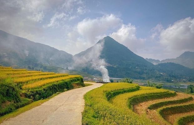 Terraced rice field in Ta Phin, Sapa